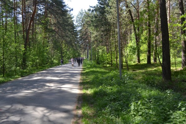 Мега рабочая ссылка даркнет